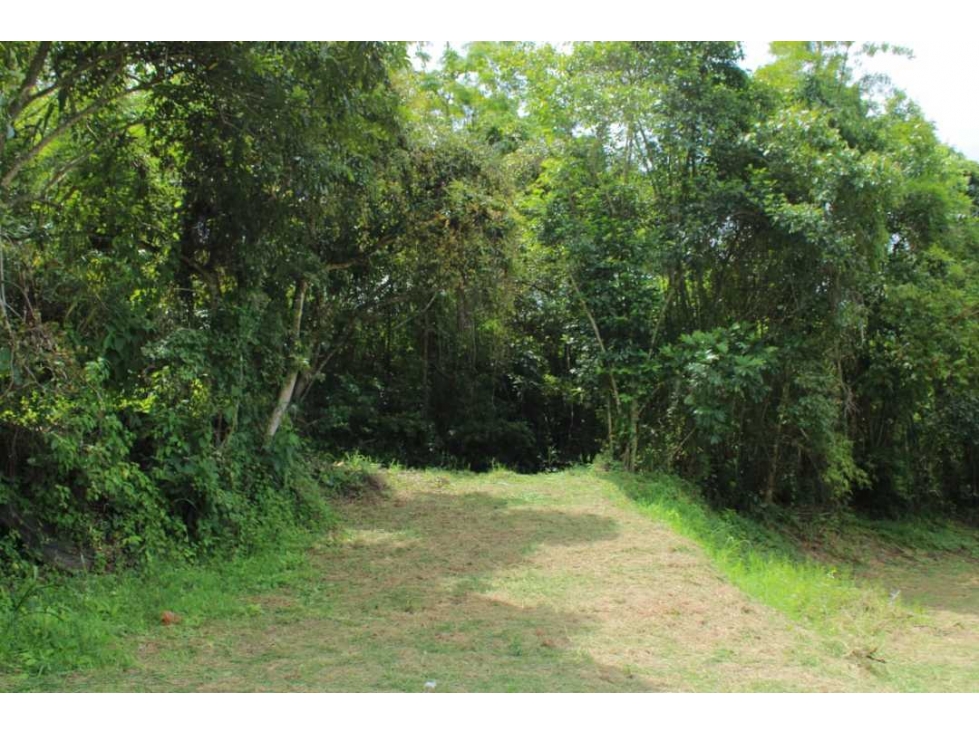 Venta de lote de 4506 M2 en 190 mill en San Joaquín - La Mesa Cund — foto 2