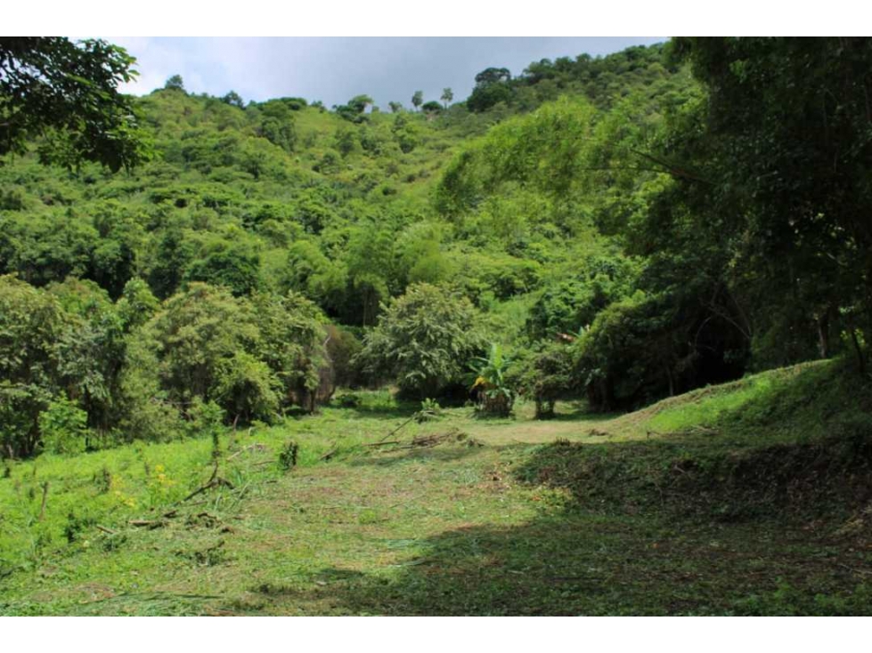 Venta de lote de 4506 M2 en 190 mill en San Joaquín - La Mesa Cund — foto 3