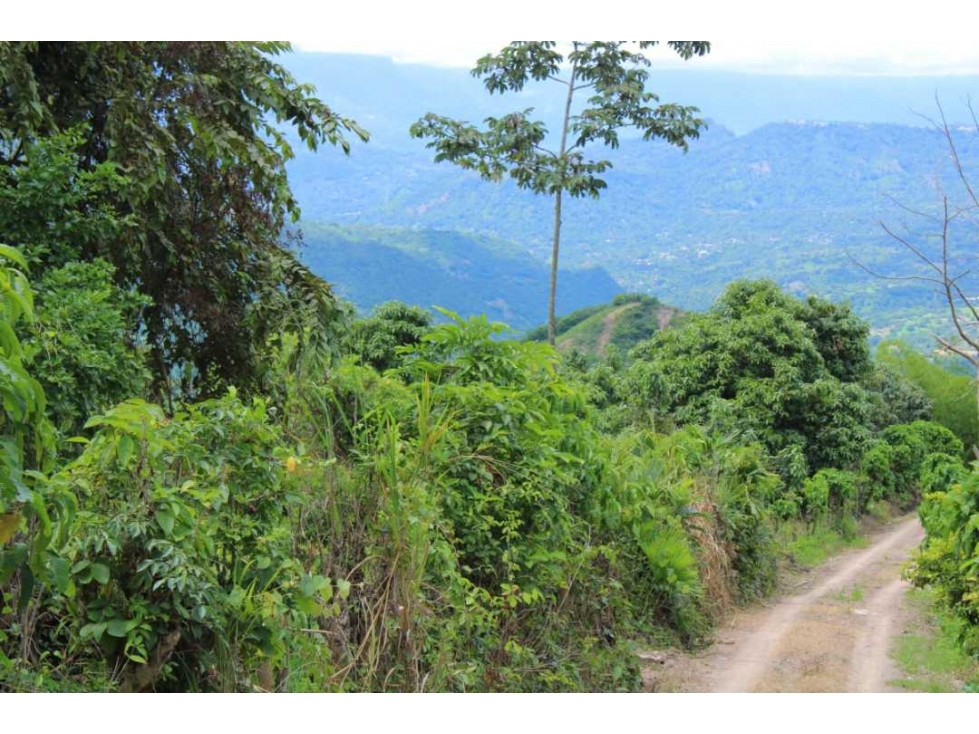 Venta de lote de 4506 M2 en 190 mill en San Joaquín - La Mesa Cund — foto 4