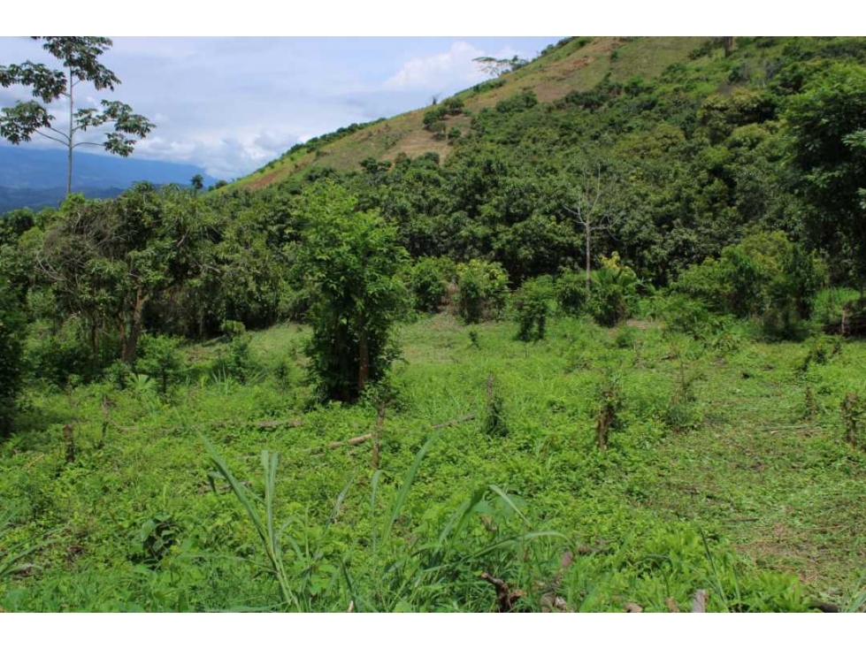 Venta de lote de 4506 M2 en 190 mill en San Joaquín - La Mesa Cund — foto 6