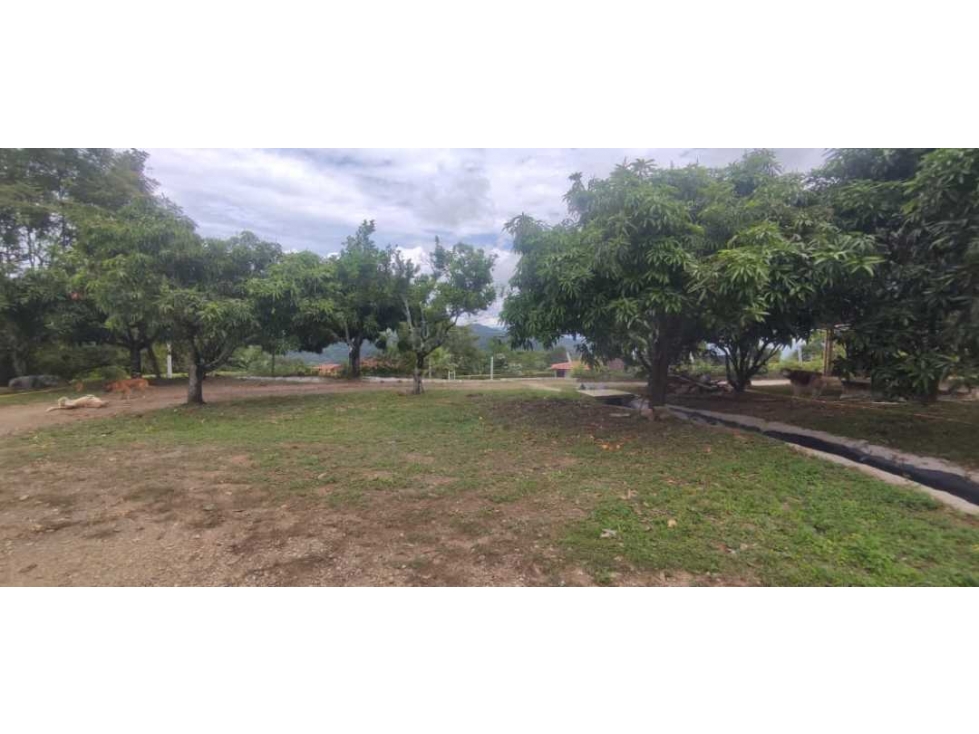 Venta de lote de 700 M2 en 160 mill en La Mesa Cund, a 3 MIN del pueb - 1