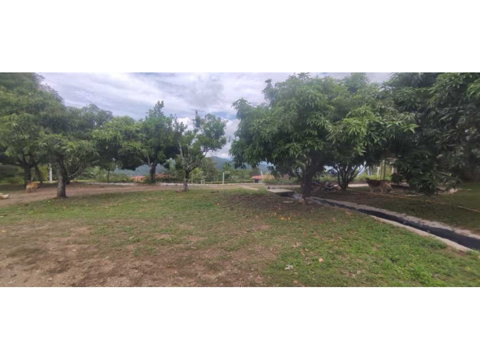 Venta de lote de 700 M2 en 160 mill en La Mesa Cund, a 3 MIN del pueb - 3