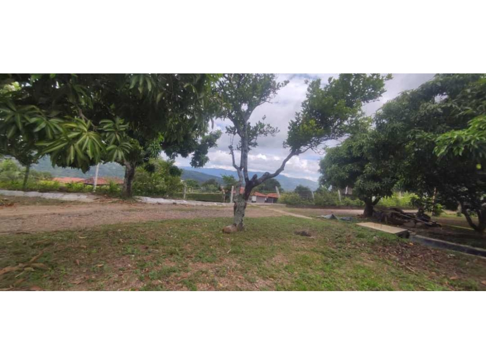 Venta de lote de 700 M2 en 160 mill en La Mesa Cund, a 3 MIN del pueb - 5