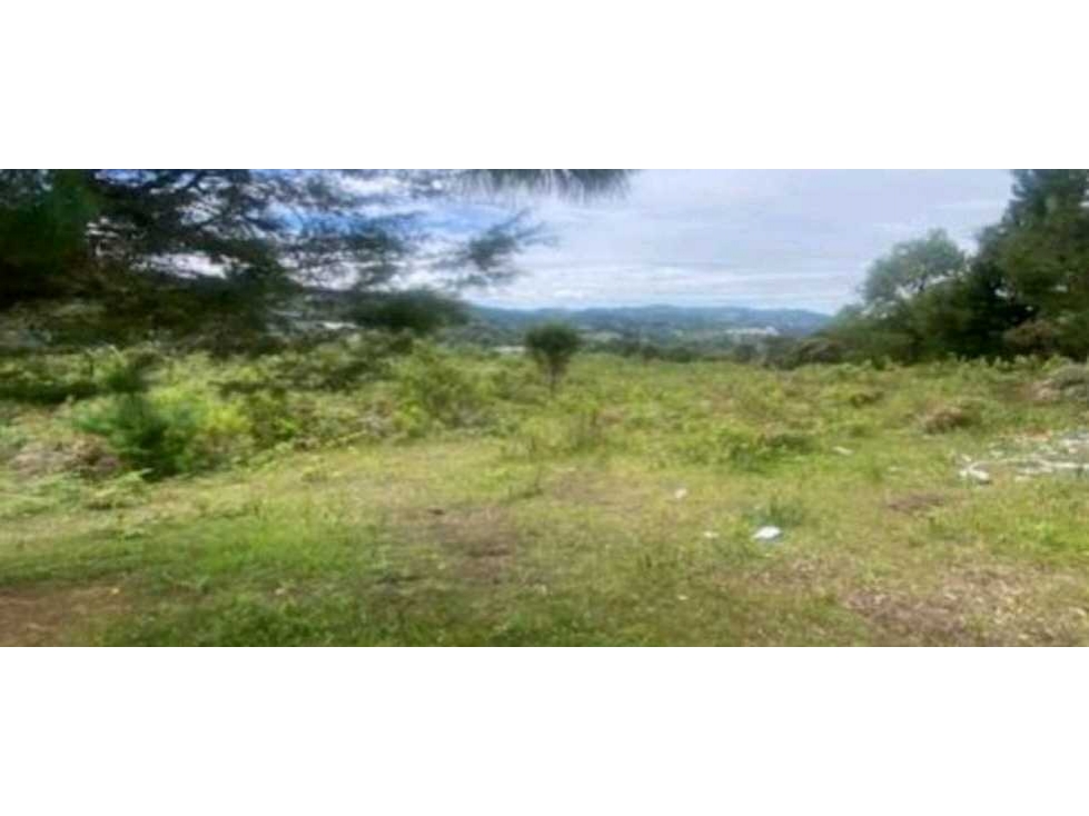 VENTA DE LOTE DE ALTA MIXTURA CON ACCESO SOBRE AUTOPISTA POR GUARNE. — foto 2
