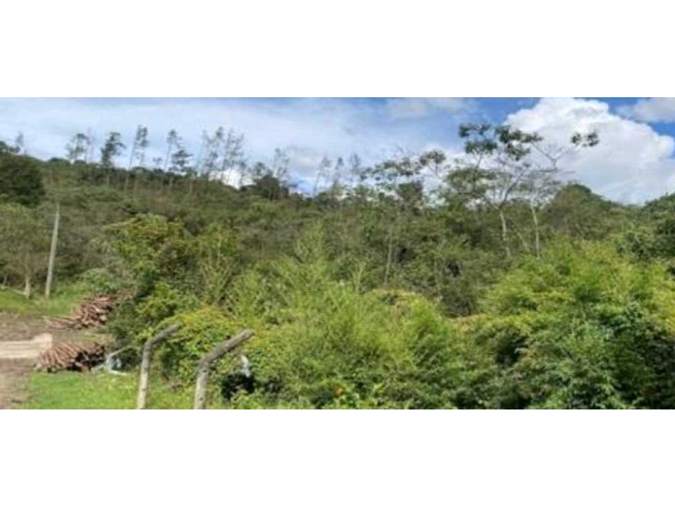 VENTA DE LOTE DE ALTA MIXTURA CON ACCESO SOBRE AUTOPISTA POR GUARNE. — foto 3
