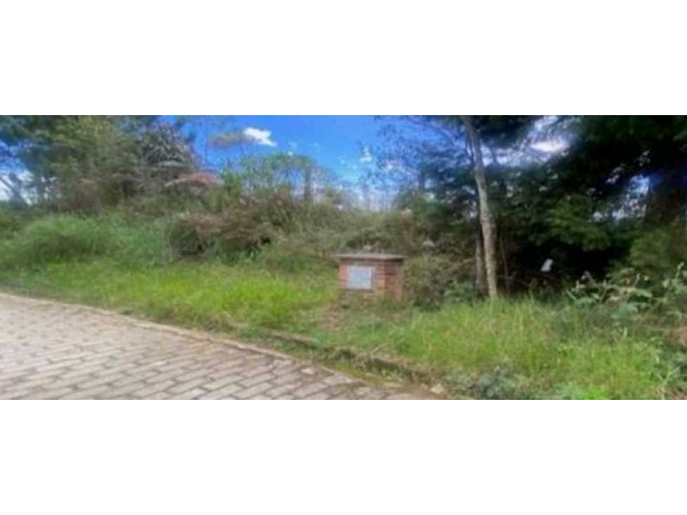 VENTA DE LOTE DE ALTA MIXTURA CON ACCESO SOBRE AUTOPISTA POR GUARNE. — foto 4