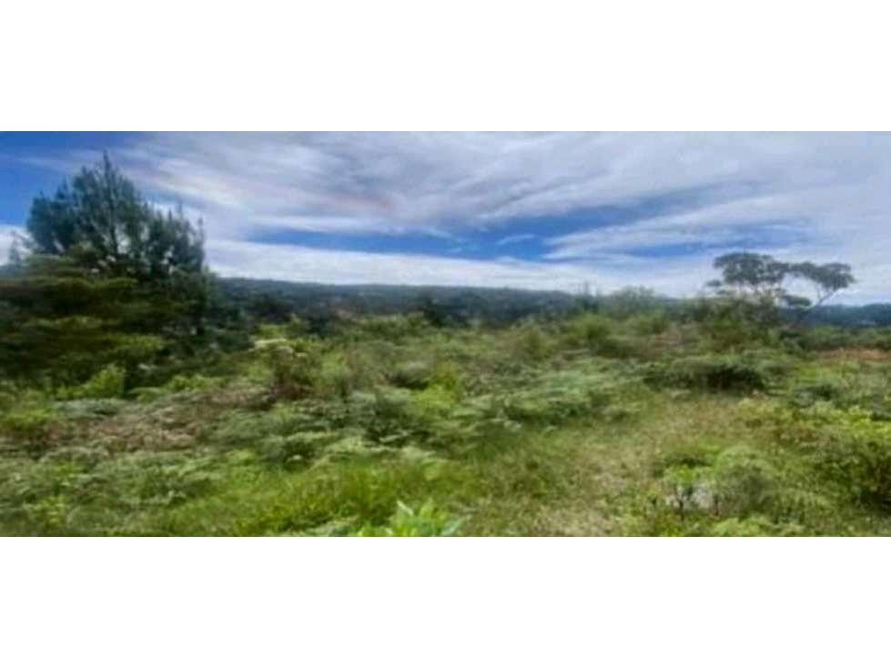 VENTA DE LOTE DE ALTA MIXTURA CON ACCESO SOBRE AUTOPISTA POR GUARNE. — foto 5