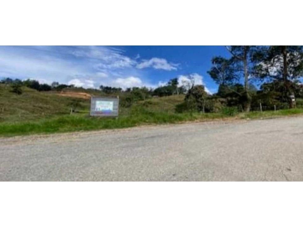 VENTA DE LOTE DE ALTA MIXTURA CON ACCESO SOBRE AUTOPISTA POR GUARNE. — foto 6