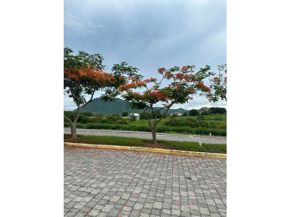 Lote en venta dentro de Urbanización Montecristi Golf Club. - 6