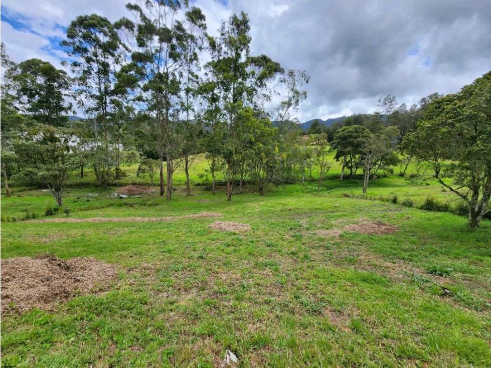 Venta de Lote El Retiro Fizebad