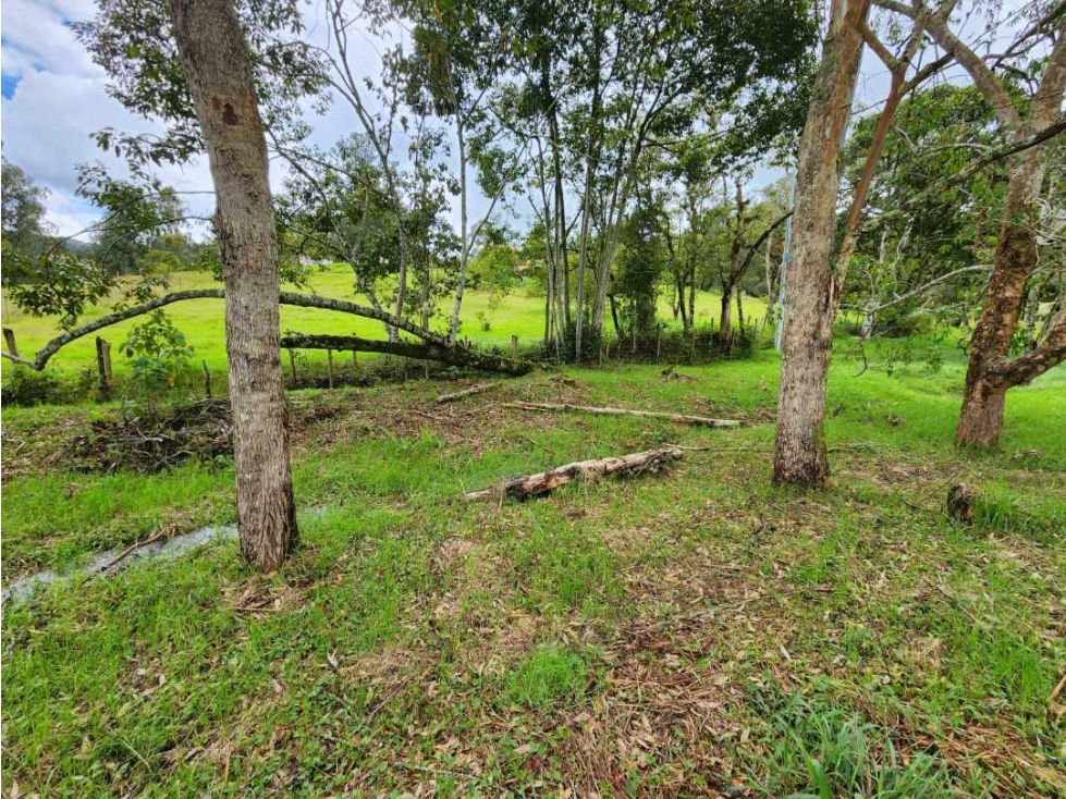 Venta de Lote El Retiro Fizebad — foto 6