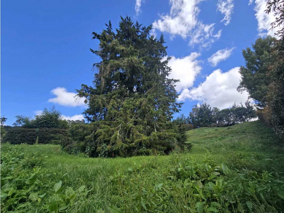 Venta de lote en Alto de Las Palmas - Sector La Acuarela. — foto 6