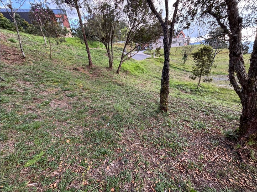 Venta de Lote en Alto de Palmas en Unidad Cerrada — foto 3