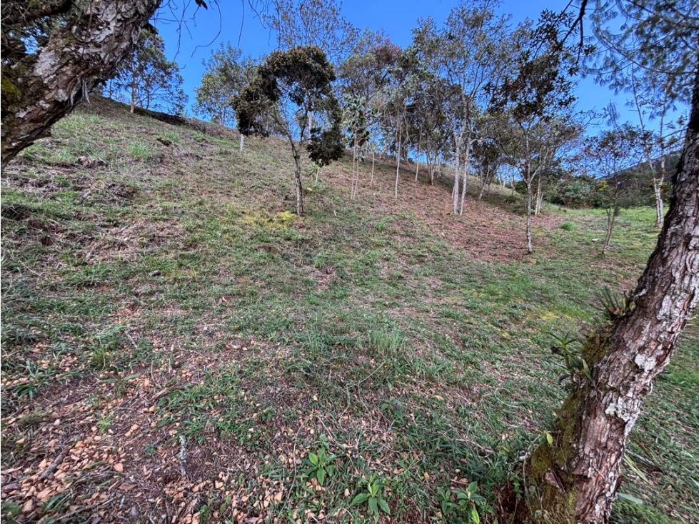 Venta de Lote en Alto de Palmas en Unidad Cerrada — foto 5