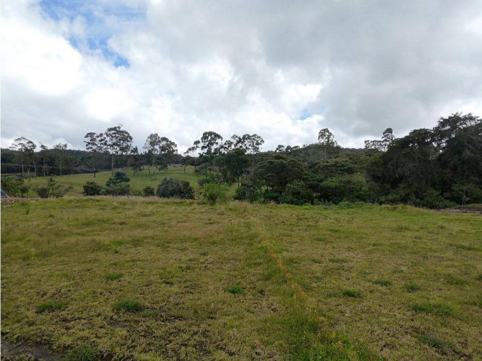 Venta de Lote en Alto de Palmas Unidad Cerrada Barrio en Crecimiento