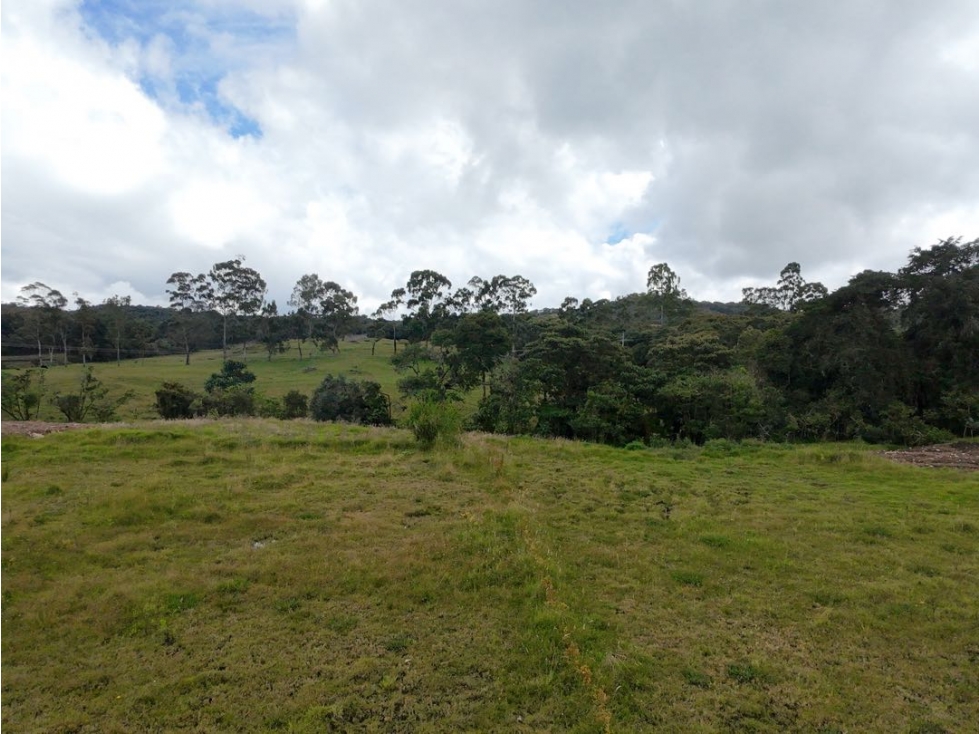 Venta de Lote en Alto de Palmas Unidad Cerrada Barrio en Crecimiento — foto 4
