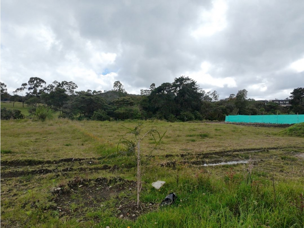 Venta de Lote en Alto de Palmas Unidad Cerrada Barrio en Crecimiento — foto 5