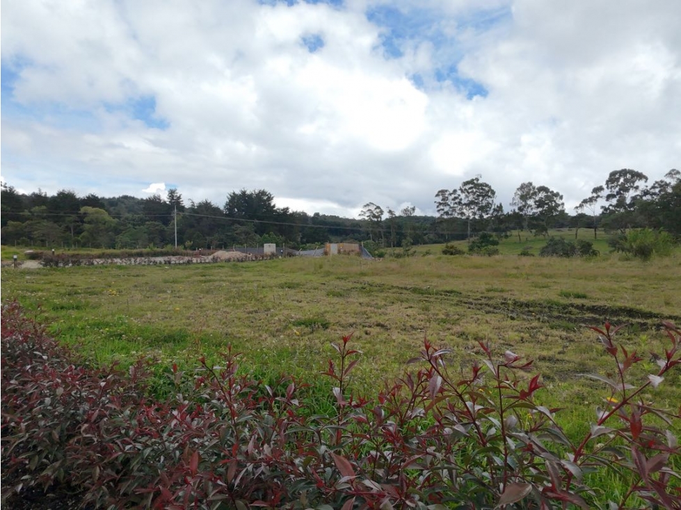 Venta de Lote en Alto de Palmas Unidad Cerrada Barrio en Crecimiento — foto 6