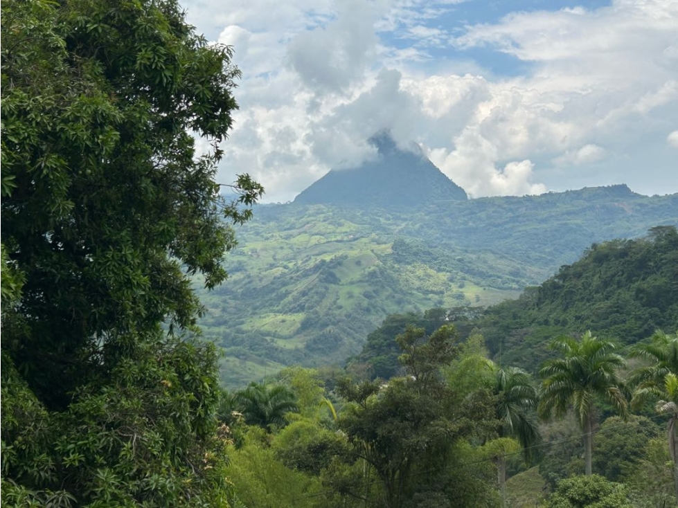 VENTA DE LOTE EN AMAGA SUROESTE ANTIOQUEÑO - 1