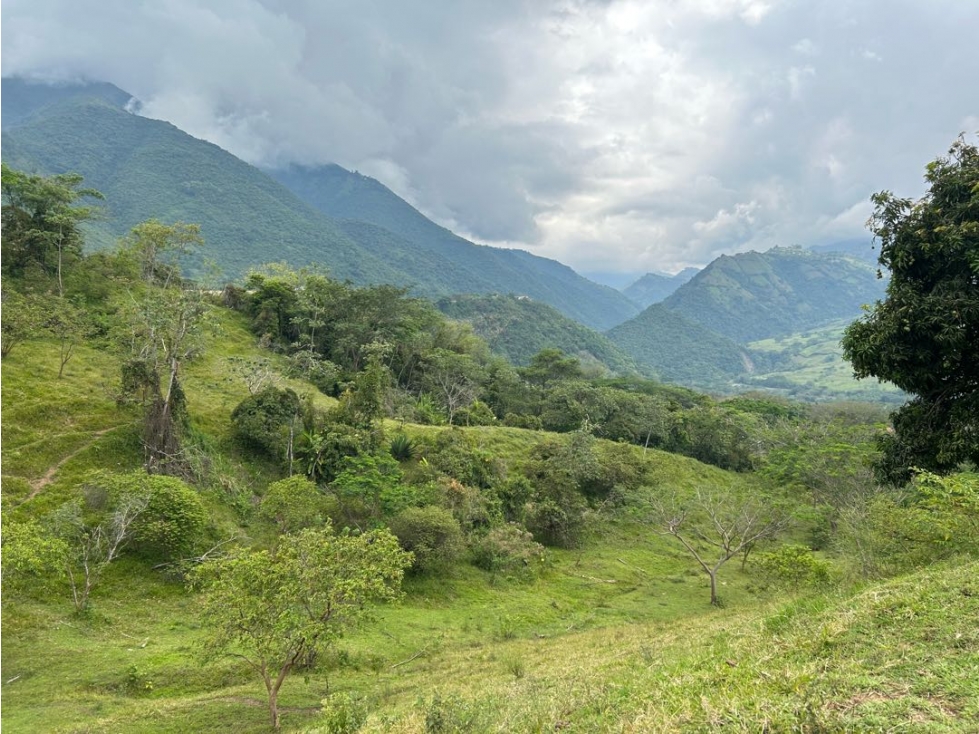 VENTA DE LOTE EN AMAGA SUROESTE ANTIOQUEÑO - 2