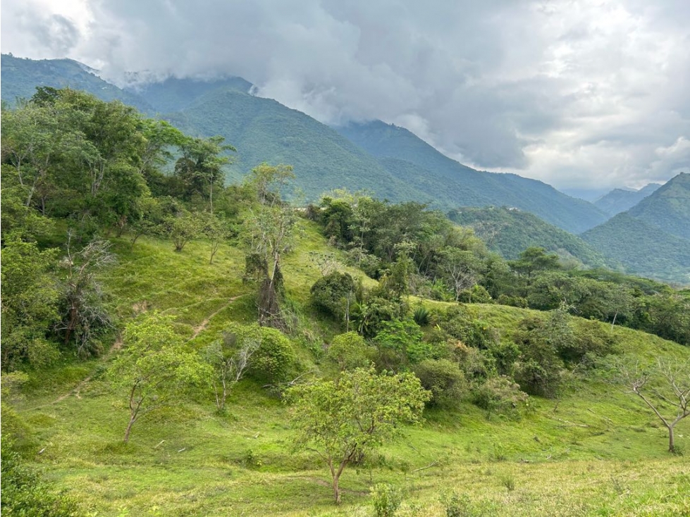 VENTA DE LOTE EN AMAGA SUROESTE ANTIOQUEÑO - 3