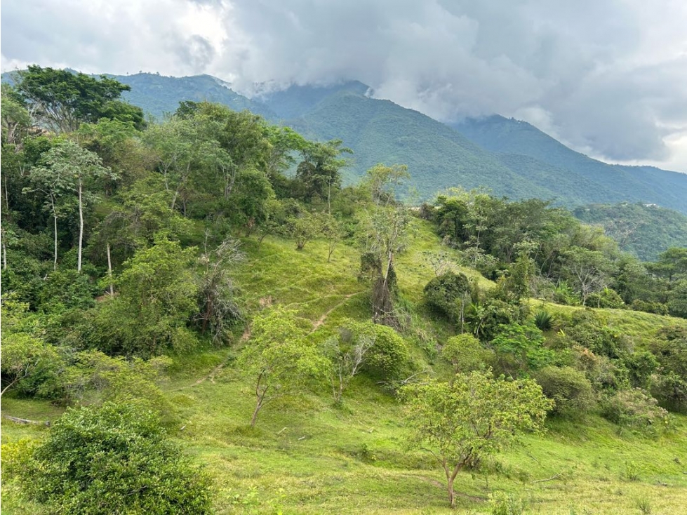 VENTA DE LOTE EN AMAGA SUROESTE ANTIOQUEÑO - 4