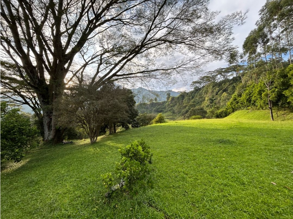 Venta de lote en amaga suroeste de Antioquia - 1