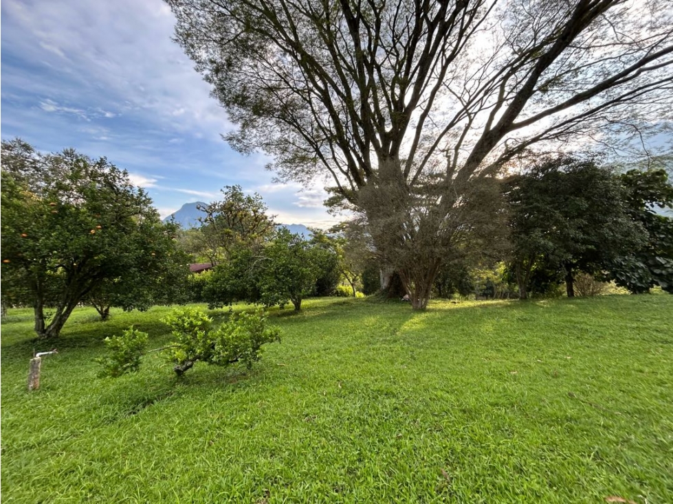 Venta de lote en amaga suroeste de Antioquia - 2