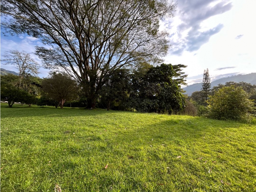 Venta de lote en amaga suroeste de Antioquia - 3