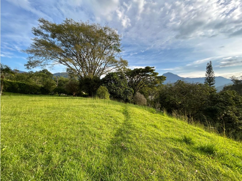 Venta de lote en amaga suroeste de Antioquia - 4