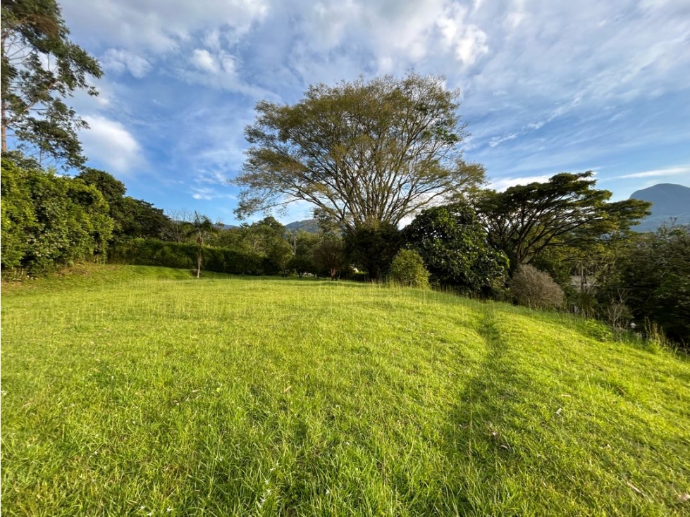 Venta de lote en amaga suroeste de Antioquia - 5
