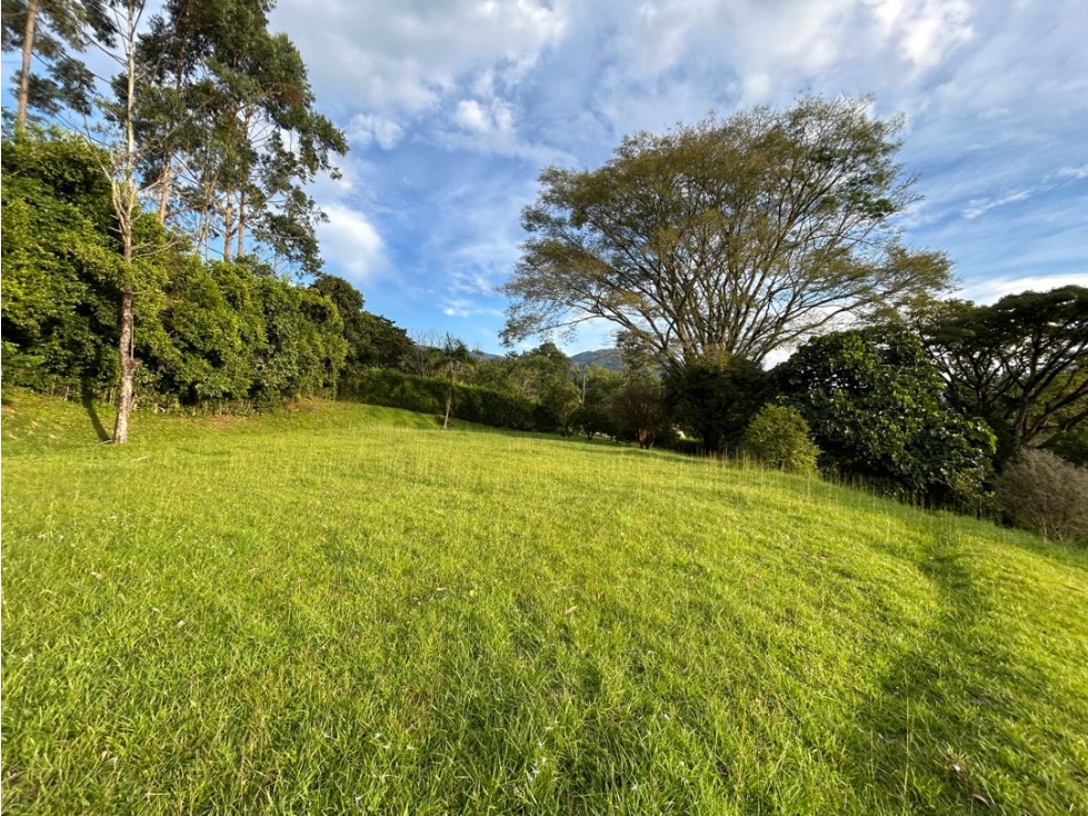 Venta de lote en amaga suroeste de Antioquia - 6