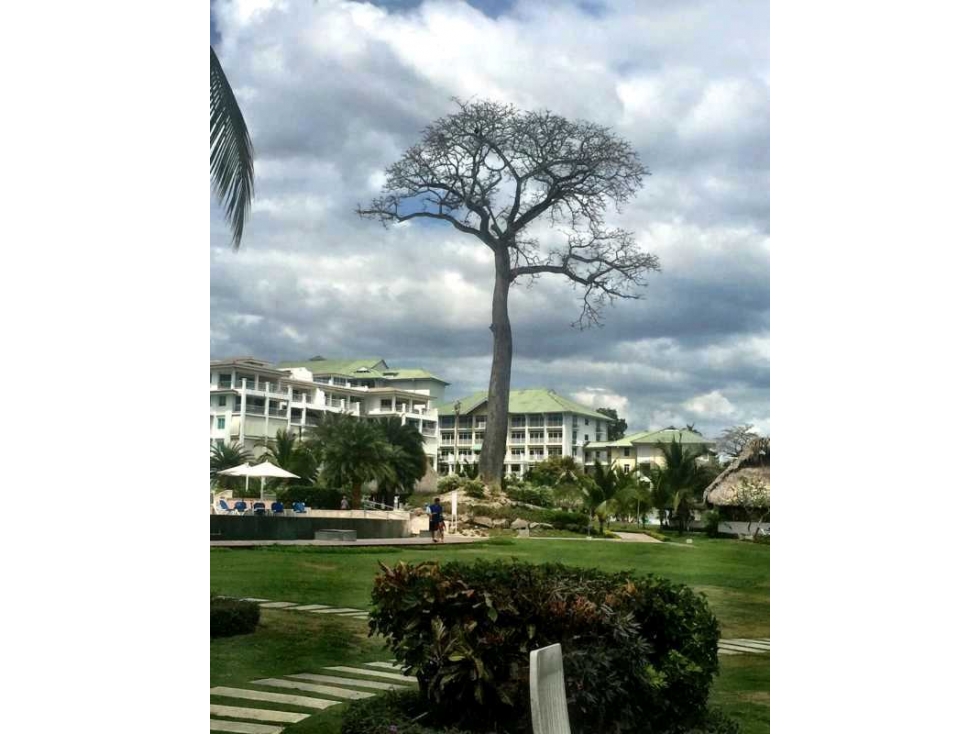 VENTA DE LOTE EN BIJAO, 930.7 METROS EN ESTE EXCLUSIVO PROYECTO - 2