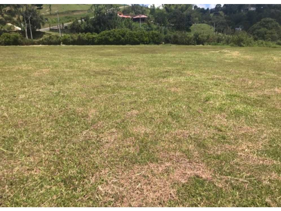 VENTA DE LOTE EN CALDAS, COMERCIAL E INDUSTRIAL. - 1