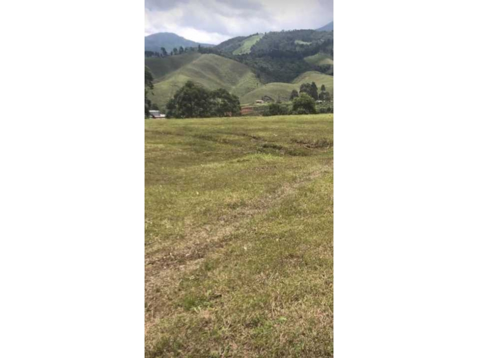 VENTA DE LOTE EN CALDAS, COMERCIAL E INDUSTRIAL. - 2