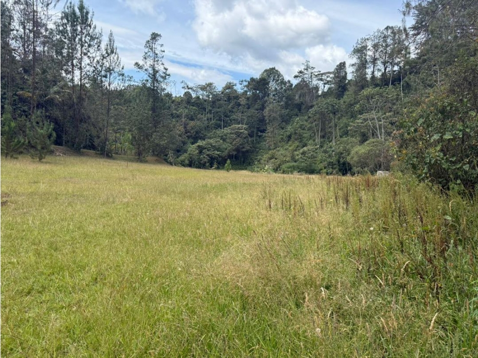 Venta de lote en el retiro, chagualos — foto 3