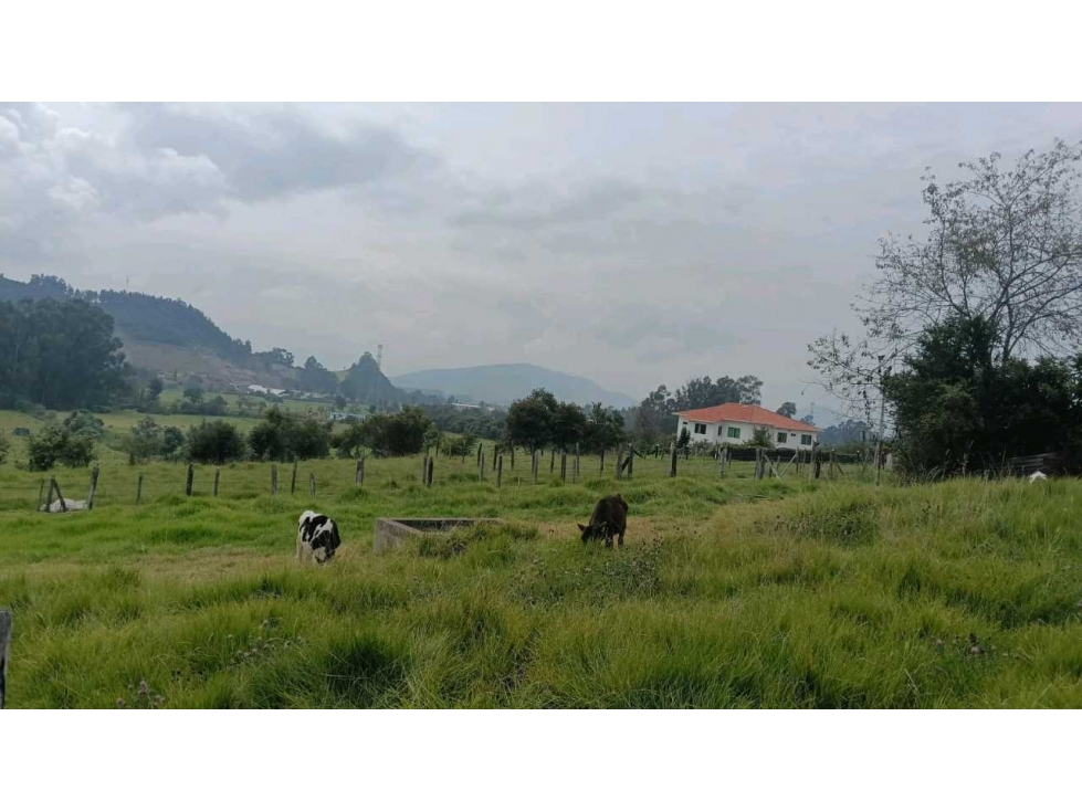 Venta de Lote en Cogua - 5