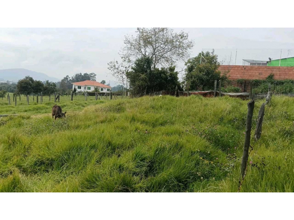 Venta de Lote en Cogua - 6