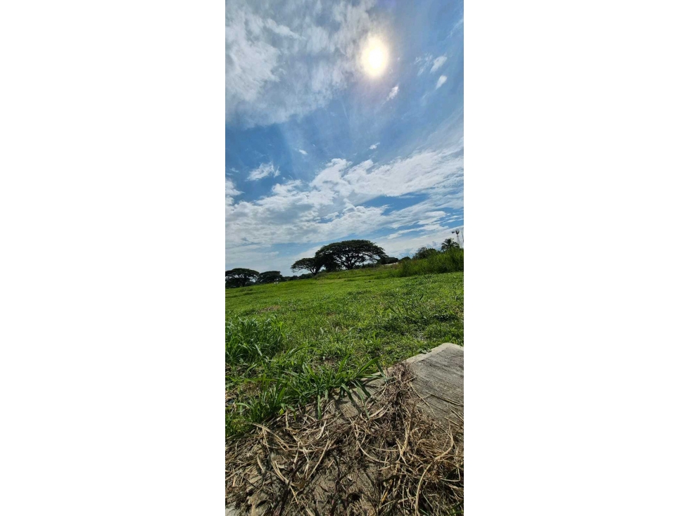 Venta de Lotes Campestres Rozo LA ESTANCIA Palmira Valle (GH) — foto 2