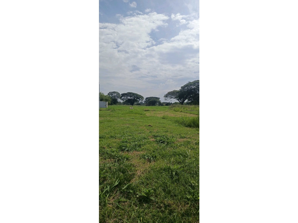 Venta de Lotes Campestres Rozo LA ESTANCIA Palmira Valle (GH) — foto 5