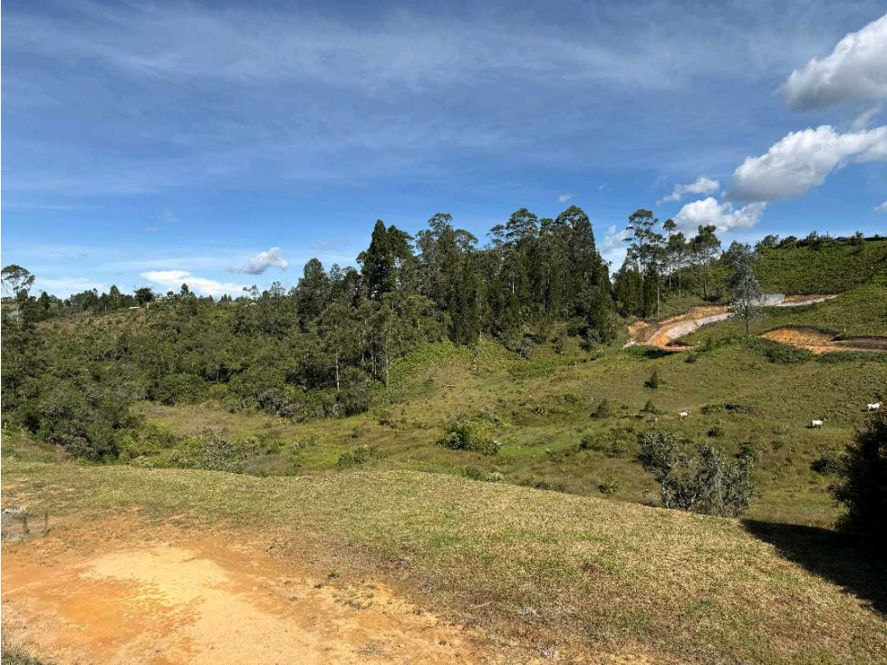 Venta De Lote En Condominio Campestre Rionegro Antioquia — foto 3