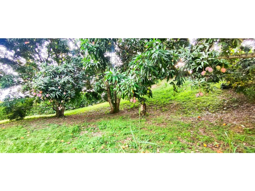 Venta de lote en condominio de 1271 M2 en 189 mill #lamesacundinamarca — foto 2