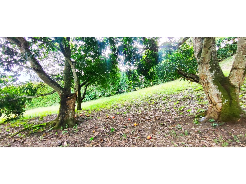Venta de lote en condominio de 1271 M2 en 189 mill #lamesacundinamarca — foto 5