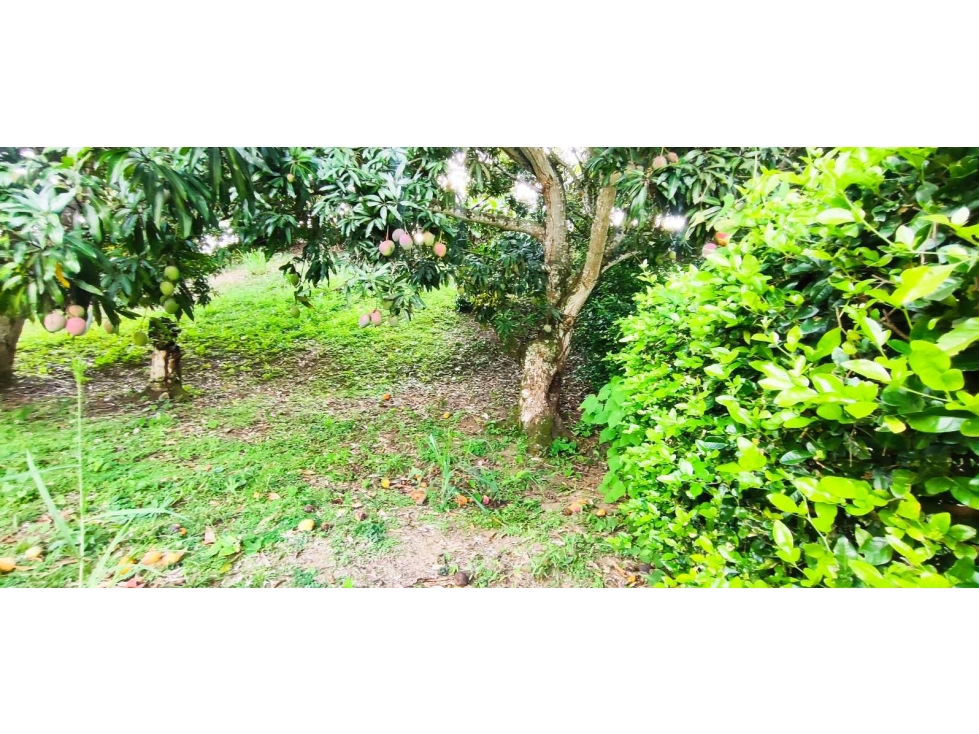 Venta de lote en condominio de 1271 M2 en 189 mill #lamesacundinamarca — foto 6
