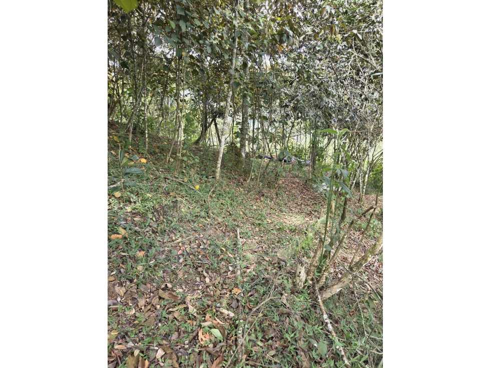 Venta de Lote En Copacabana Antioquia — foto 6
