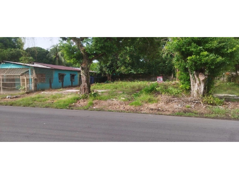 VENTA DE LOTE EN DAVID CHIRIQUI EN NUEVO VEDADO 698m2 JP - 5