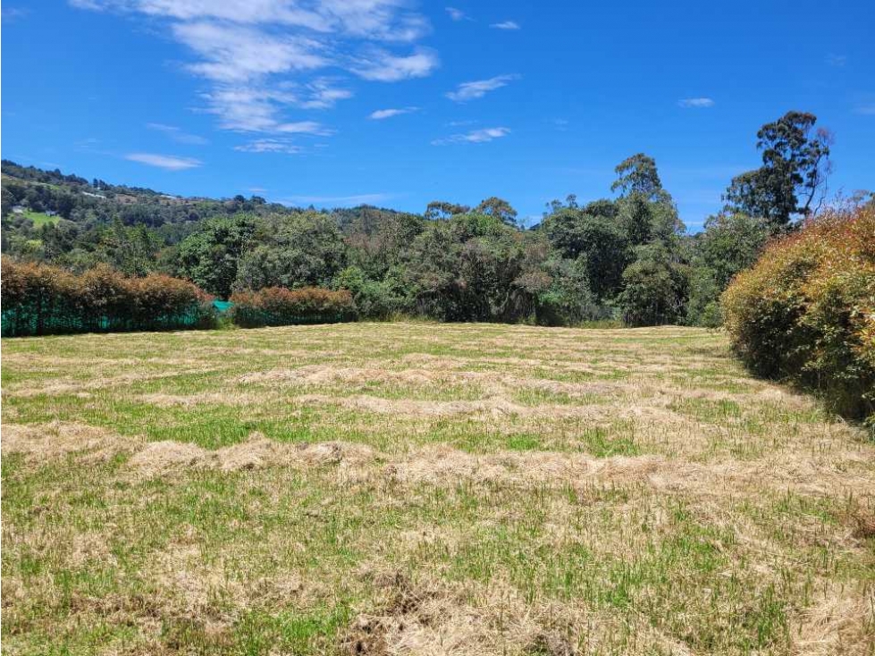 Venta de Lote en el Alto de las Palmas sector la Acuarela — foto 3