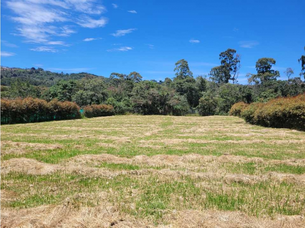 Venta de Lote en el Alto de las Palmas sector la Acuarela — foto 4