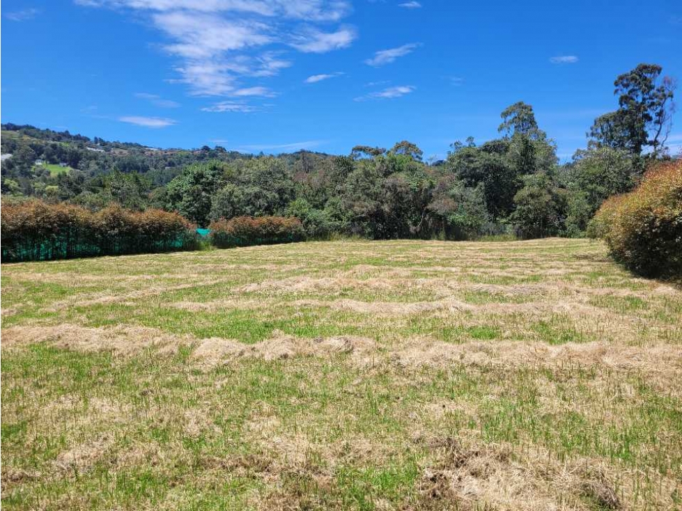 Venta de Lote en el Alto de las Palmas sector la Acuarela — foto 5
