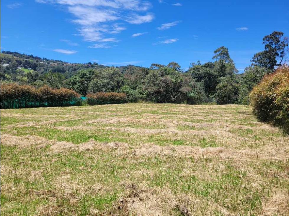 Venta de Lote en el Alto de las Palmas sector la Acuarela — foto 6